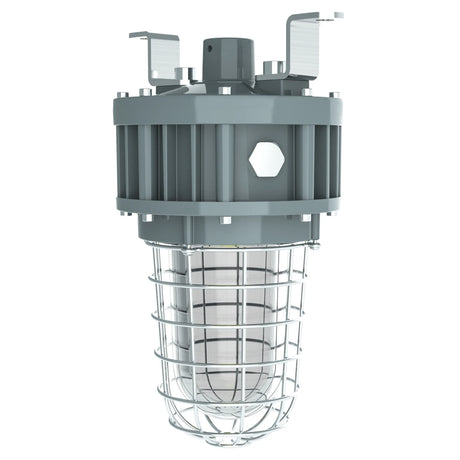 Explosion proof jelly jar LED light G Series C1D2 with wire guard for oil gas and chemical plant locations