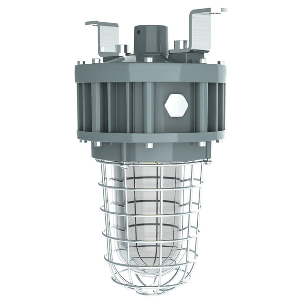 Explosion proof jelly jar LED light G Series C1D2 with wire guard for oil gas and chemical plant locations