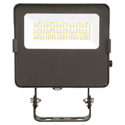 LED Flood Light