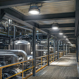 Row of 150W C1D1 round LED high bay lights delivering 21,000 lumens of 5000K illumination along a processing plant walkway.