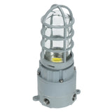 Front view of 20W C1D2 explosion proof LED light featuring a protective metal cage and durable glass globe housing.
