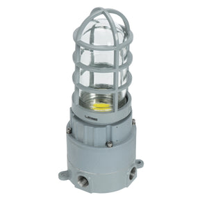 Front view of 20W C1D2 explosion proof LED light featuring a protective metal cage and durable glass globe housing.