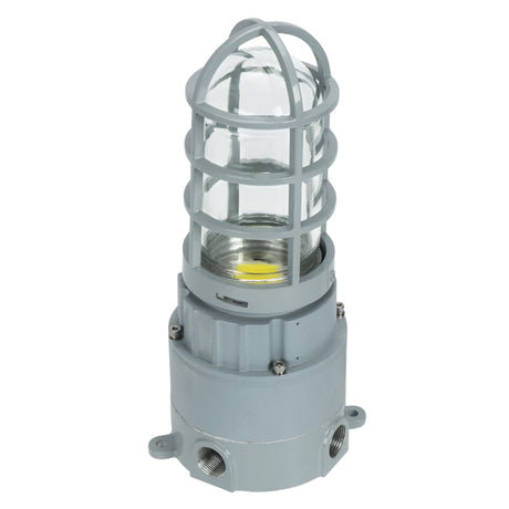 Front view of 20W C1D2 explosion proof LED light featuring a protective metal cage and durable glass globe housing.
