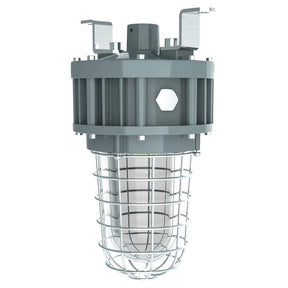 30W C1D2 explosion proof LED jelly jar light featuring a heavy-duty protective cage and tempered glass globe.