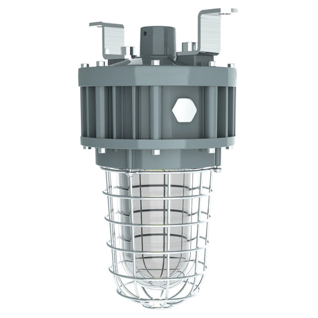 30W C1D2 explosion proof LED jelly jar light featuring a heavy-duty protective cage and tempered glass globe.