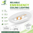 3W LED Emergency Ceiling Light for product overview with key specifications for commercial lighting applications.