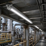 C1D2 1x4 LED explosion proof linear light illuminating an industrial refinery catwalk