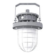 100W C1D1 explosion proof LED round high bay, 13,500lm 5000K, with protective globe glass for hazardous area lighting.