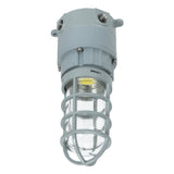 20W C1D2 explosion proof LED jelly jar light, 5000K daylight, ceiling mount fixture for hazardous area safety lighting.