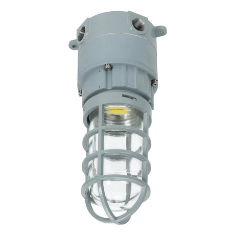 20W C1D2 explosion proof LED jelly jar light, 5000K daylight, ceiling mount fixture for hazardous area safety lighting.